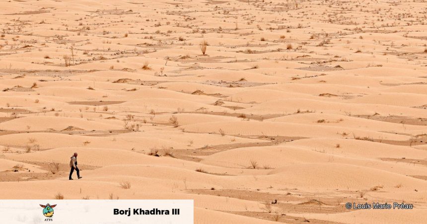 En images : Expédition scientifique dans les confins de l’extrême sud tunisien (Association Tunisienne de la Vie Sauvage).