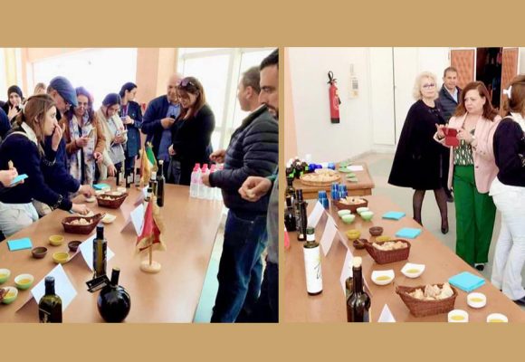 Tunisie : formation à l’Inat sur l’analyse sensorielle de l’huile d’olive vierge