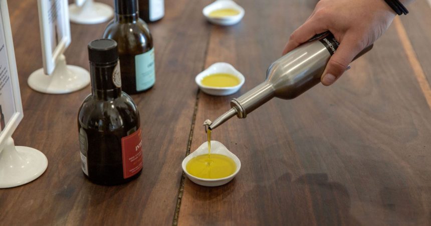 La production tunisienne d’huile d’olive atteint 220 000 tonnes