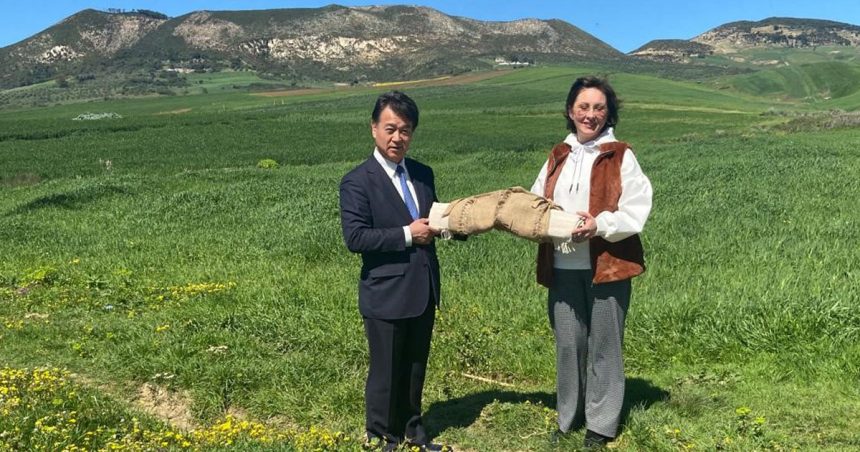 Béja : Don japonais pour la création d’un Centre de formation en transformation des produits laitiers