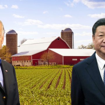 Big Apple Farm : des investisseurs chinois à l’assaut des terres agricoles américaines