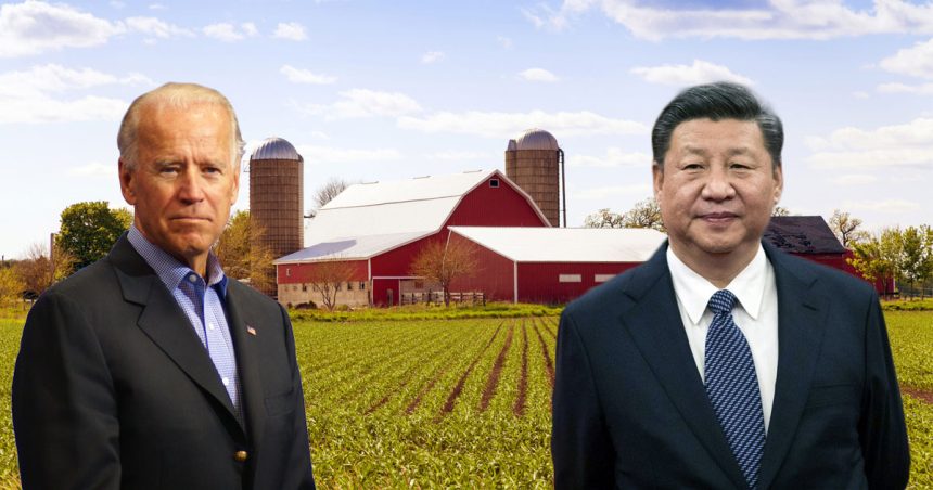 Big Apple Farm : des investisseurs chinois à l’assaut des terres agricoles américaines