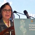 La stratégie énergétique de la Tunisie à l’horizon 2035