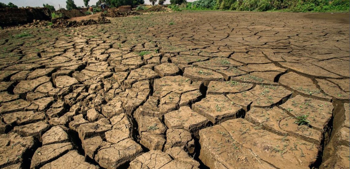 La Tunisie envisage de nouvelles mesures face à la persistance de la sécheresse