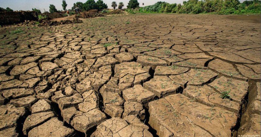 Tunisie : le stress hydrique affectera la croissance en 2023 de 0,3 à 0,4%