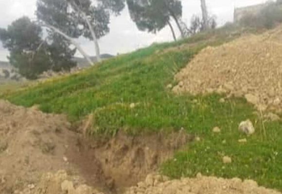 Tunisie : L’État récupère un terrain domanial agricole de 70 ha à Siliana