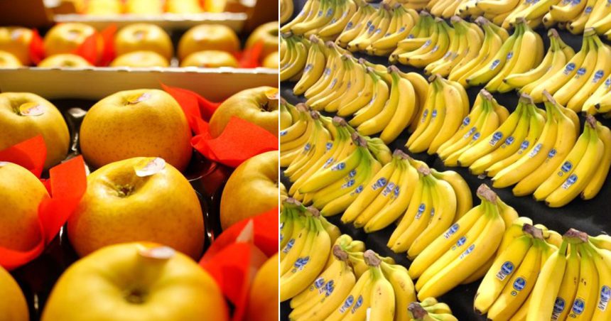 Tunisie-Ministère du Commerce : Prix des bananes et des pommes à partir du 9 mars 2023