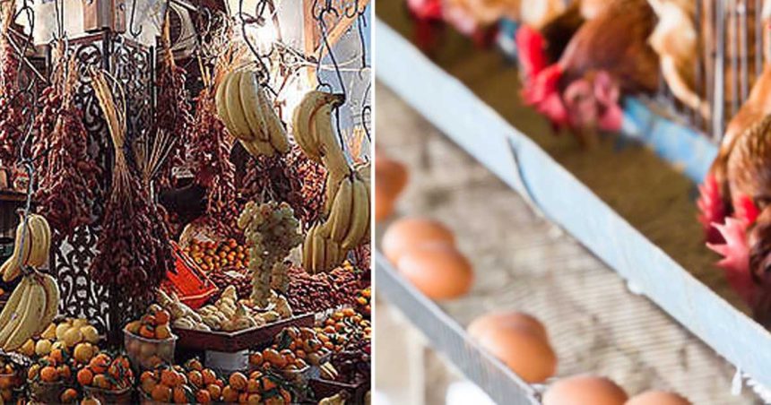 Ramadan-Tunisie : Prix et marges bénéficiaires pour certains produits agricoles frais (ministère du Commerce)