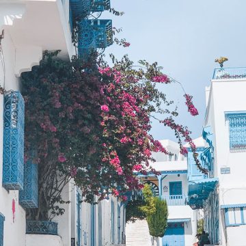 Le bleu «smaoui», une histoire tunisienne  