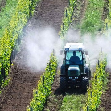 Tunisie : pesticides à usage agricole et méthodes de lutte alternatives