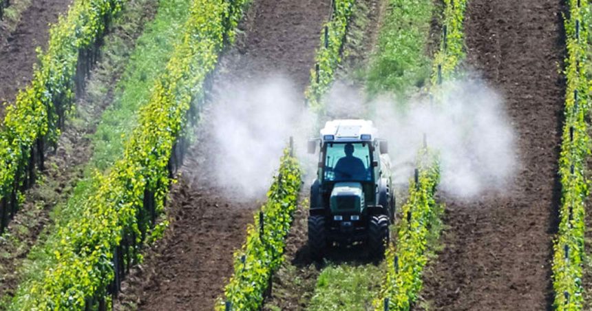 Tunisie : pesticides à usage agricole et méthodes de lutte alternatives