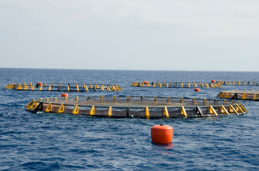 L’aquaculture tunisienne présentée à Alger