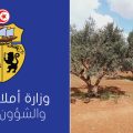 Tunisie : L’État récupère un terrain domanial agricole de 11 hectares à la Manouba