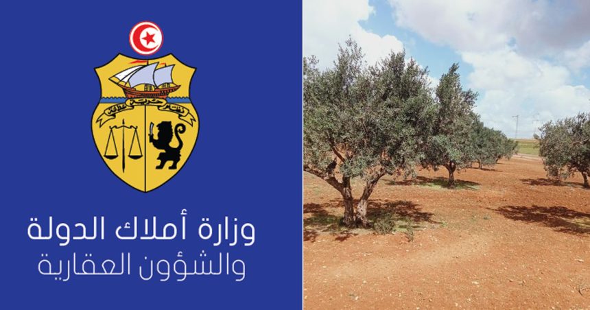Tunisie : L’État récupère un terrain domanial agricole de 11 hectares à la Manouba