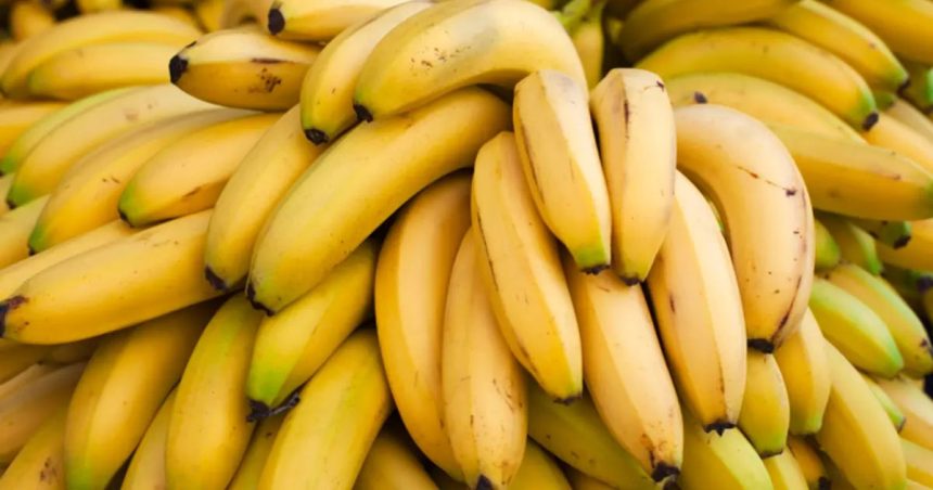 Tunisie : les bananes de la colère