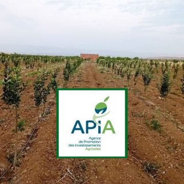 L’Apia approuve 5 nouveaux projets agricoles   