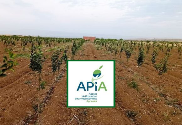 L’Apia approuve 5 nouveaux projets agricoles   