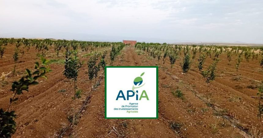 L’Apia approuve 5 nouveaux projets agricoles   