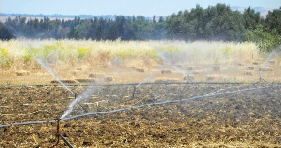 Arrosage-de-champ-cerealier-par-irrigation-sous-pression-El-Brahimi,-Jendouba. Vague de chaleur en Tunisie | Recommandations aux agriculteurs et éleveurs