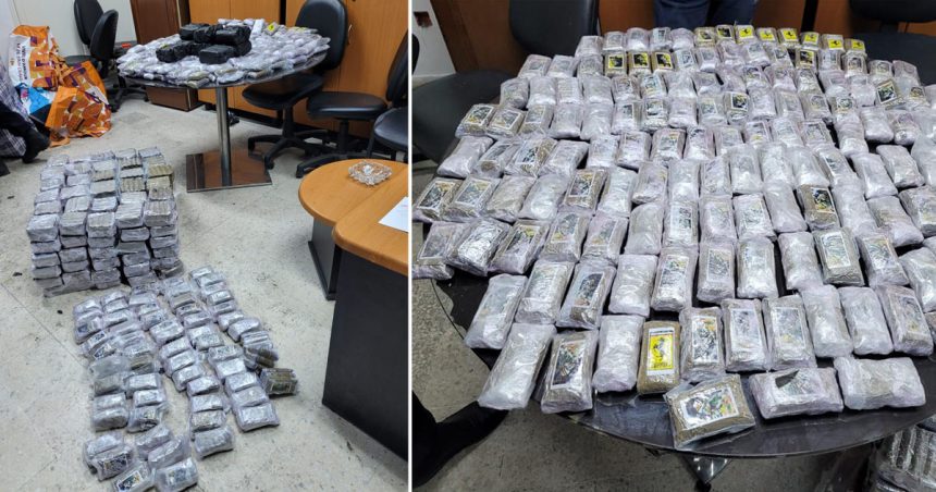 La Goulette : Un voyageur en provenance de Gênes arrêté avec 134 kg de cannabis