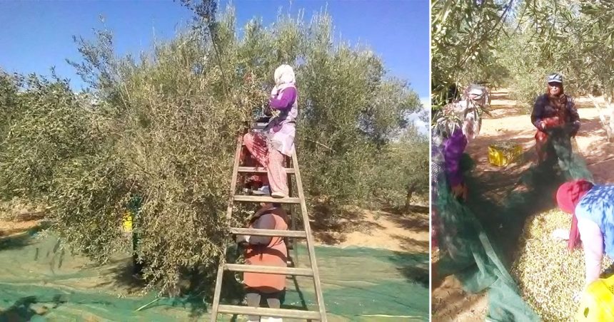 La crise de l’emploi informel en Tunisie