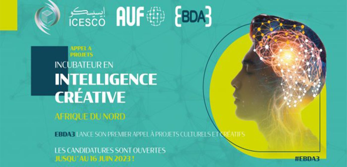 Appel à projets dans le cadre du programme d’intelligence créative Ebda3 en Afrique du nord