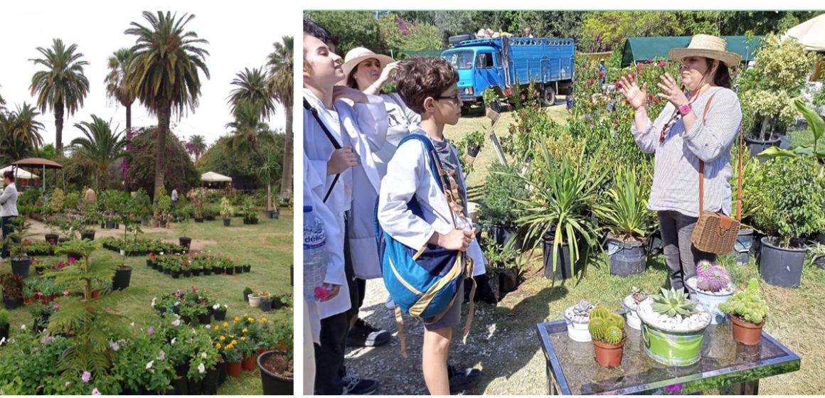 Belvédère de Tunis : Retour des Floralies, le foire aux fleurs et aux plantes