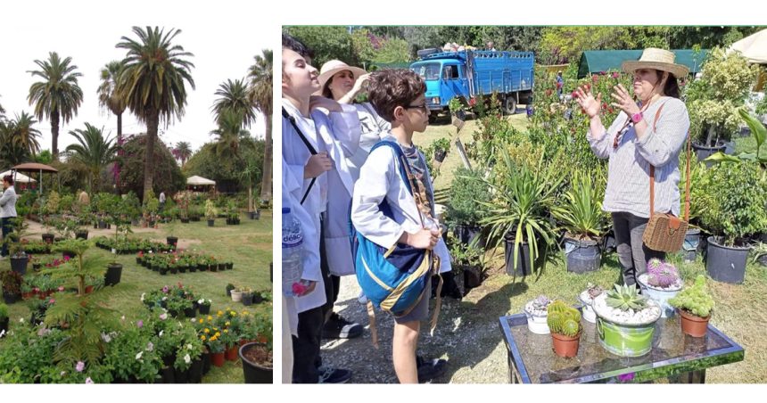Belvédère de Tunis : Retour des Floralies, le foire aux fleurs et aux plantes
