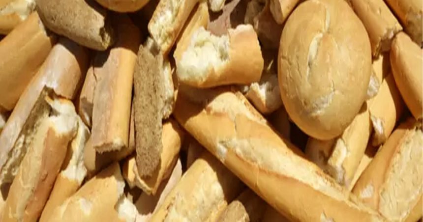 Projet de réduction du gaspillage alimentaire à Tunis et la Goulette