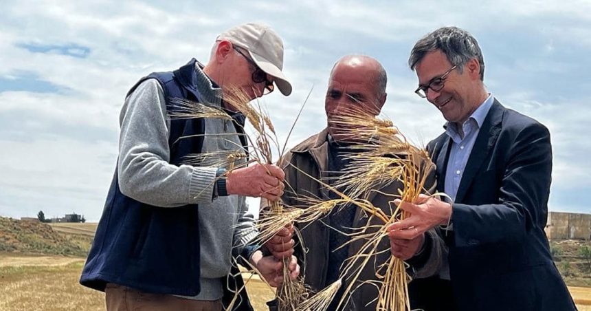Visite conjointe aux bénéficiaires du programme Adapt à Béja et Jendouba