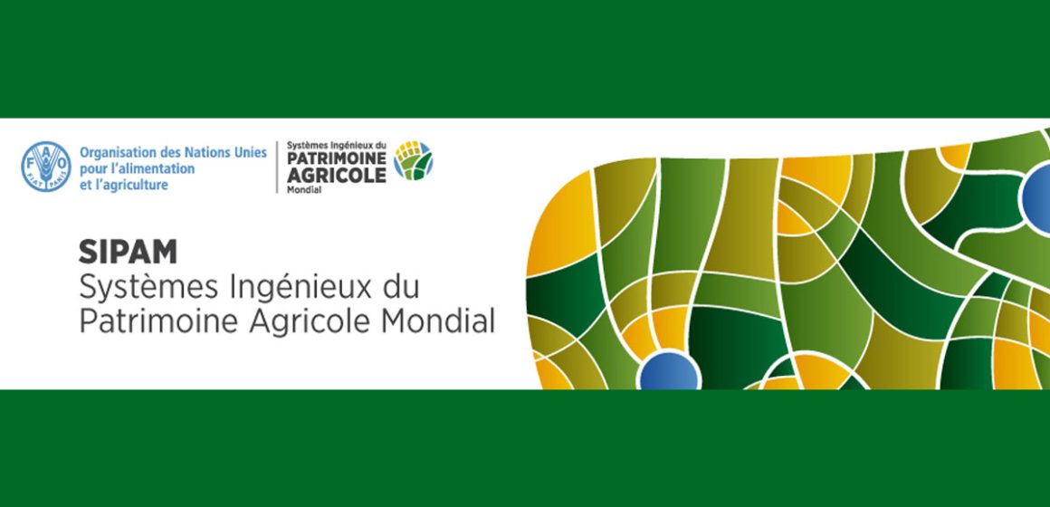 Tunisie : Ghar El Melh et Djebbah reconnus comme Systèmes ingénieux du patrimoine agricole mondial