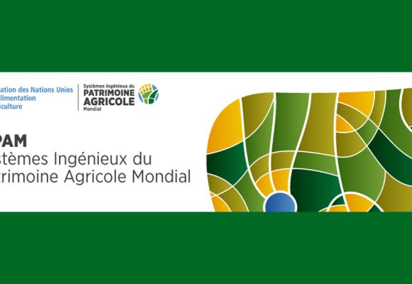 Tunisie : Ghar El Melh et Djebbah reconnus comme Systèmes ingénieux du patrimoine agricole mondial