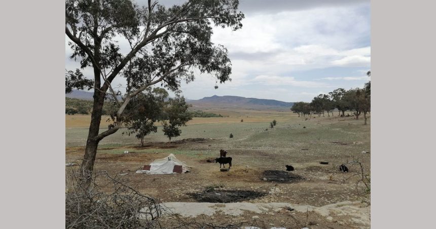 Tunisie : Récupération de quatre terres domaniales agricoles à Zaghouan