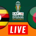 Algérie vs Ouganda en live streaming : Éliminatoires de la CAN 2023
