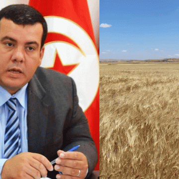 Anis Kharbeche passe en revue les difficultés de la filière céréalière en Tunisie  
