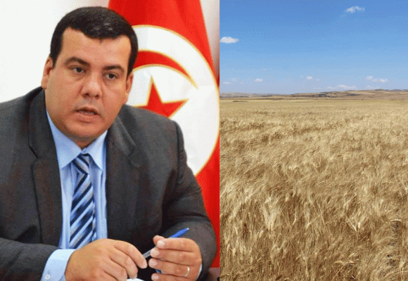 Anis Kharbeche passe en revue les difficultés de la filière céréalière en Tunisie  