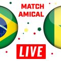 Brésil vs Sénégal en live streaming : match amical 2023