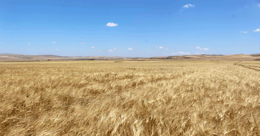Don coréen à la Tunisie pour soutenir sa résilience climatique