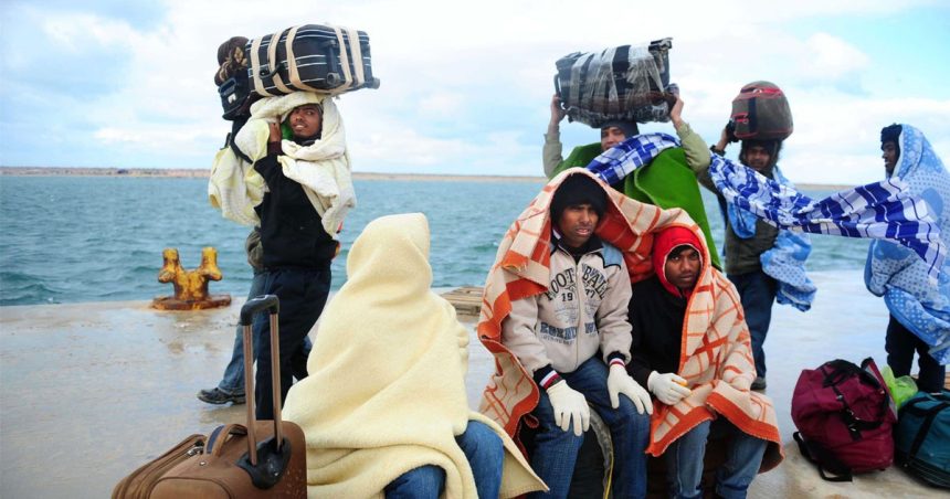 L’immigré, hôte ou parasite ?
