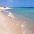 Tunisie : programme pour nettoyer 133 plages touristiques et publiques