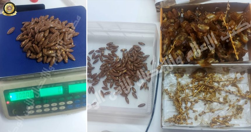 Aéroport Tunis-Carthage : Saisie de 3 Kg d’or cachés à l’intérieur de… dattes !
