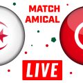 Algérie vs Tunisie en live streaming : match amical 2023
