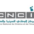 Tunisie : Makhlouf Ben Hafsia nommé à la tête du CNCI