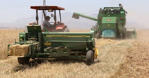 Tunisie : 6,6 millions de quintaux de céréales récoltés au 21 juillet