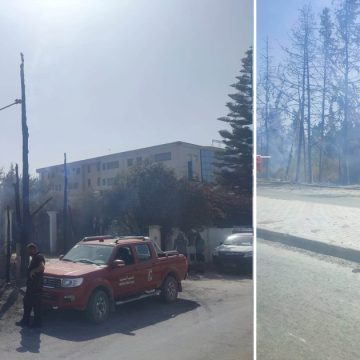 Canicule-Ariana : Un incendie maîtrisé à Chotrana