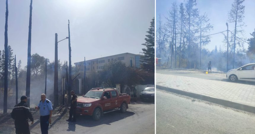 Canicule-Ariana : Un incendie maîtrisé à Chotrana