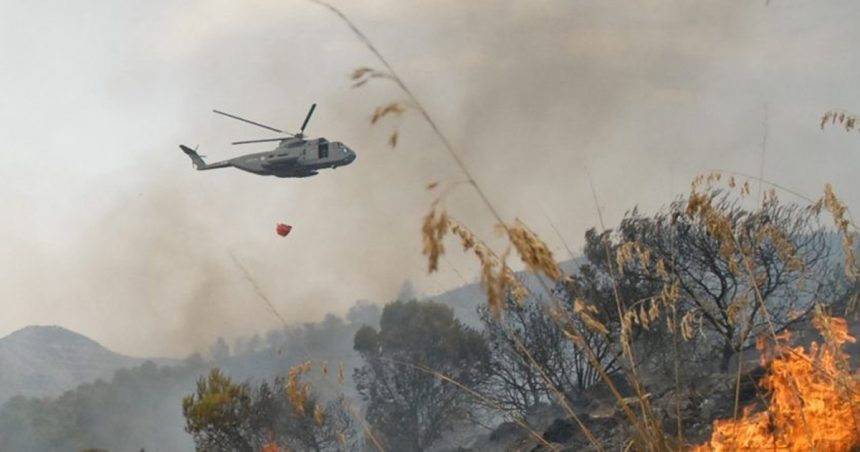 Incendie-Tabarka : En images, mobilisation de l’armée à Melloula
