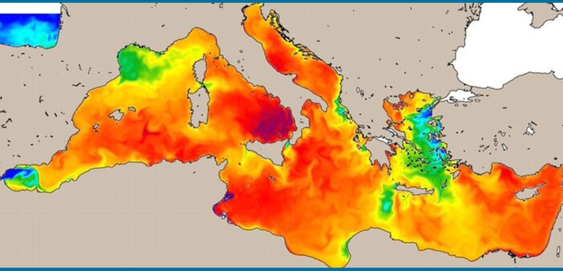 Méditerranée : juillet le plus chaud depuis 30 ans (+5 degrés en moyenne)