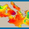 Méditerranée : juillet le plus chaud depuis 30 ans (+5 degrés en moyenne)