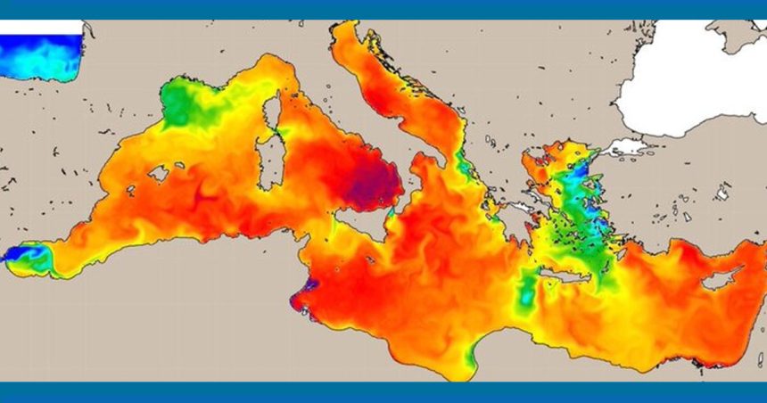 Méditerranée : juillet le plus chaud depuis 30 ans (+5 degrés en moyenne)